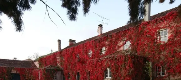 12 غرف نوم منزل في Torres Vedras, Portugal رقم 54384 2