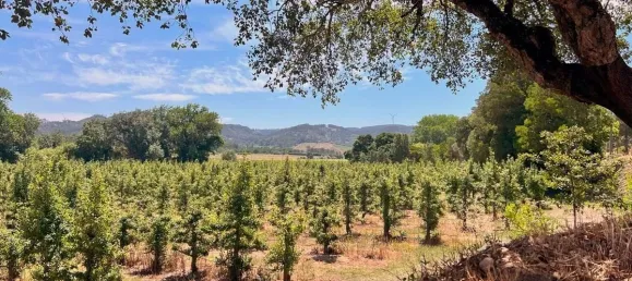 12 غرف نوم منزل في Torres Vedras, Portugal رقم 54384 18