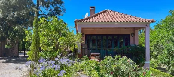 12 غرف نوم منزل في Torres Vedras, Portugal رقم 54384 4