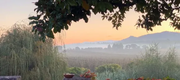 12 غرف نوم منزل في Torres Vedras, Portugal رقم 54384 22