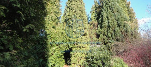 2 chambres Maison à Mittelsachsen, Germany No. 129864 24