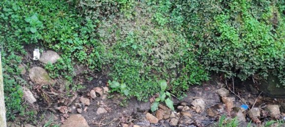 3 Schlafzimmer Haus in Ponte da Barca, Portugal, Nr. 154078 9