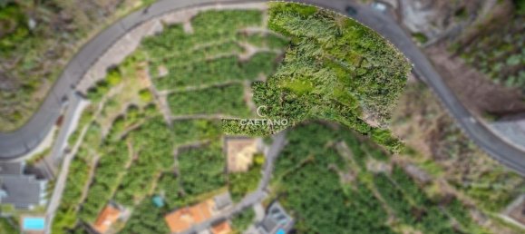  قطعة أرض في Calheta, Portugal رقم 141320 6