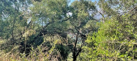 Hotel in Corfu, Greece 90000m², Nr. 3591 13