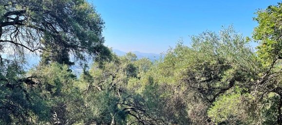 Hotel in Corfu, Greece 90000m², Nr. 3591 10