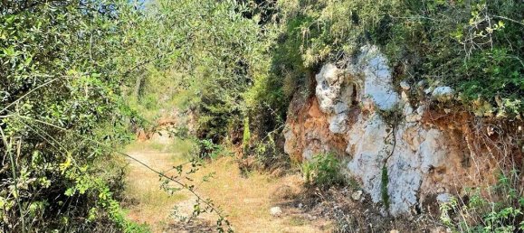 Hotel in Corfu, Greece 90000m², Nr. 3591 14