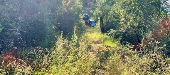 Hotel in Corfu, Greece 90000m², Nr. 3591 11