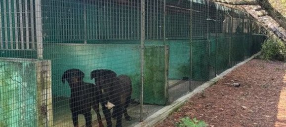 5-Zimmer Haus in Voghiera, Italy, Nr. 282226 20