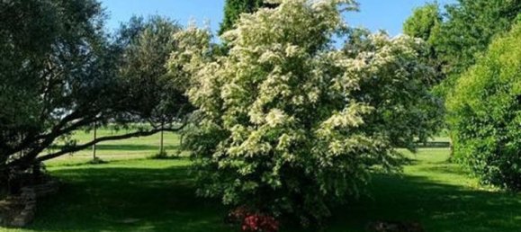 5-Zimmer Haus in Voghiera, Italy, Nr. 282226 32