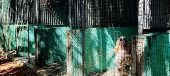 5-Zimmer Haus in Voghiera, Italy, Nr. 282226 21