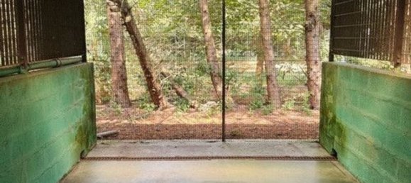 5-Zimmer Haus in Voghiera, Italy, Nr. 282226 23