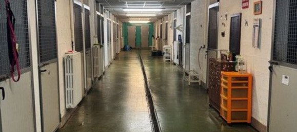 5-Zimmer Haus in Voghiera, Italy, Nr. 282226 22