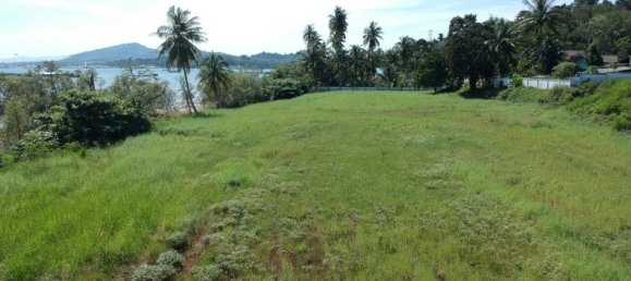 11200m² Commercial property in Phang Nga, Thailand No. 8280 4