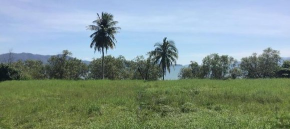 11200m² Commercial property in Phang Nga, Thailand No. 8280 3