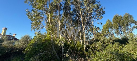 Grundstück in Cascais, Portugal 2240m², Nr. 121020 5