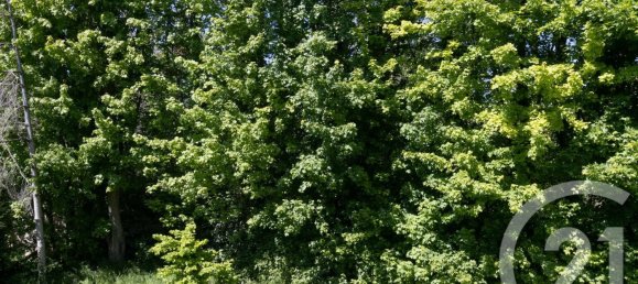 2 Schlafzimmer Haus in Montgeron, France, Nr. 351825 8