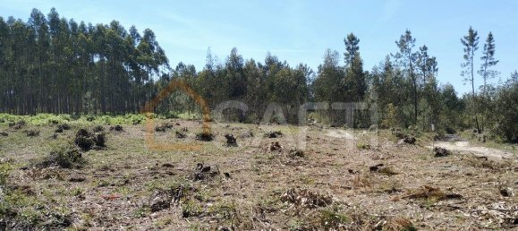 Terreno em Marinha Grande, Portugal 1439 m² N.º 64103 2