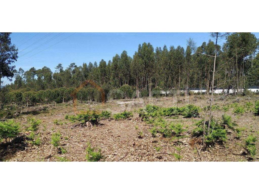 Terreno em Marinha Grande, Portugal 1439 m² N.º 64103