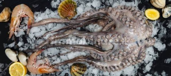 2-Zimmer Gewerbliche Immobilie in Savona, Italy, Nr. 189146 20