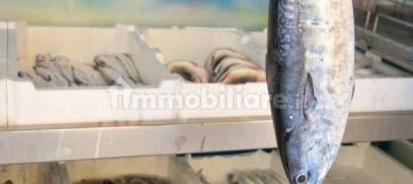 2-Zimmer Gewerbliche Immobilie in Savona, Italy, Nr. 189146 15