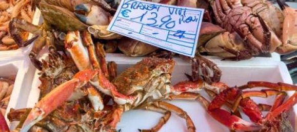 2-Zimmer Gewerbliche Immobilie in Savona, Italy, Nr. 189146 21