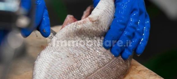 2-Zimmer Gewerbliche Immobilie in Savona, Italy, Nr. 189146 11