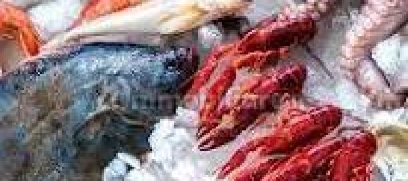 2-Zimmer Gewerbliche Immobilie in Savona, Italy, Nr. 189146 7