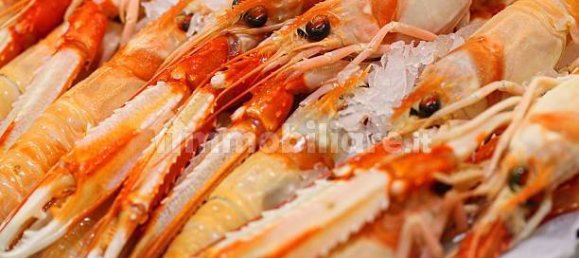 2-Zimmer Gewerbliche Immobilie in Savona, Italy, Nr. 189146 13