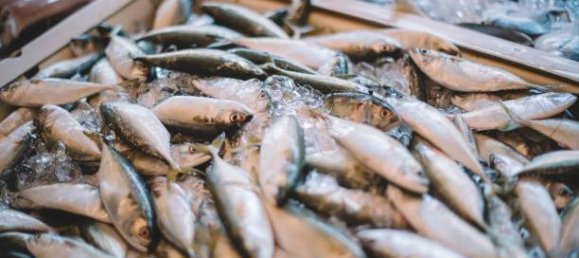 2-Zimmer Gewerbliche Immobilie in Savona, Italy, Nr. 189146 17