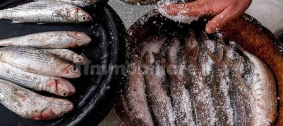 2-Zimmer Gewerbliche Immobilie in Savona, Italy, Nr. 189146 40