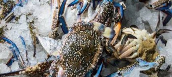 2-Zimmer Gewerbliche Immobilie in Savona, Italy, Nr. 189146 38