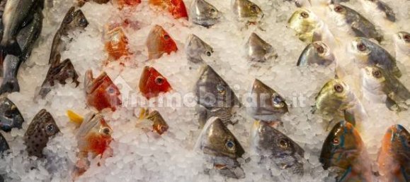 2-Zimmer Gewerbliche Immobilie in Savona, Italy, Nr. 189146 36