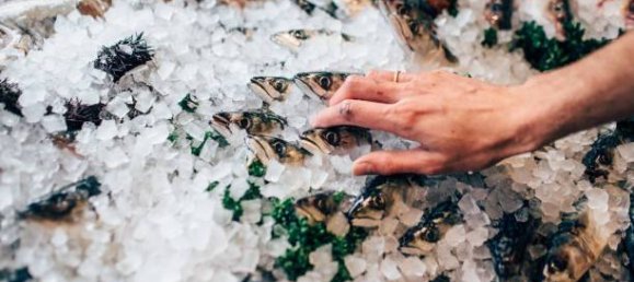 2-Zimmer Gewerbliche Immobilie in Savona, Italy, Nr. 189146 28