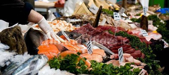 2-Zimmer Gewerbliche Immobilie in Savona, Italy, Nr. 189146 18