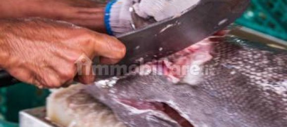 2-Zimmer Gewerbliche Immobilie in Savona, Italy, Nr. 189146 39