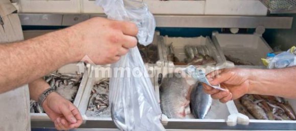 2-Zimmer Gewerbliche Immobilie in Savona, Italy, Nr. 189146 14