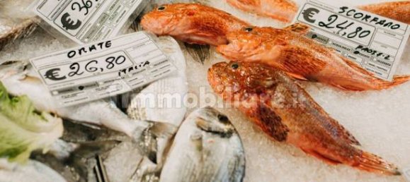 2-Zimmer Gewerbliche Immobilie in Savona, Italy, Nr. 189146 29