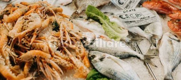 2-Zimmer Gewerbliche Immobilie in Savona, Italy, Nr. 189146 49