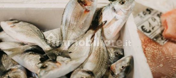 2-Zimmer Gewerbliche Immobilie in Savona, Italy, Nr. 189146 30