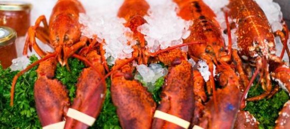 2-Zimmer Gewerbliche Immobilie in Savona, Italy, Nr. 189146 26