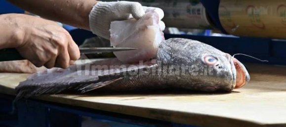 2-Zimmer Gewerbliche Immobilie in Savona, Italy, Nr. 189146 32