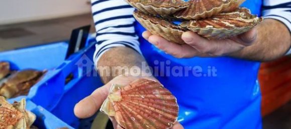 2-Zimmer Gewerbliche Immobilie in Savona, Italy, Nr. 189146 46