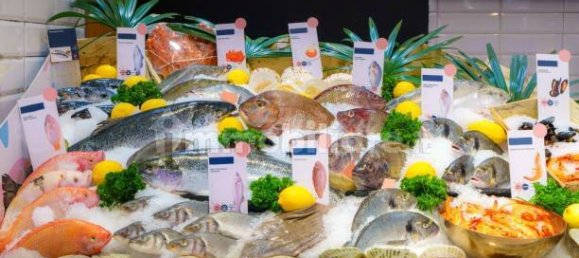 2-Zimmer Gewerbliche Immobilie in Savona, Italy, Nr. 189146 24