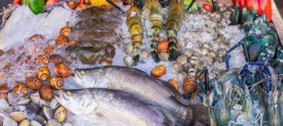 2-Zimmer Gewerbliche Immobilie in Savona, Italy, Nr. 189146 23