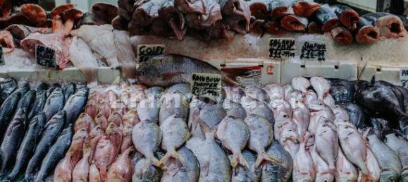 2-Zimmer Gewerbliche Immobilie in Savona, Italy, Nr. 189146 22