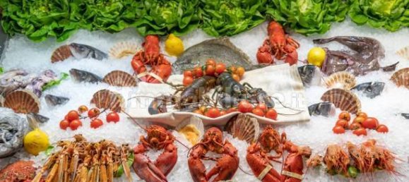 2-Zimmer Gewerbliche Immobilie in Savona, Italy, Nr. 189146 9