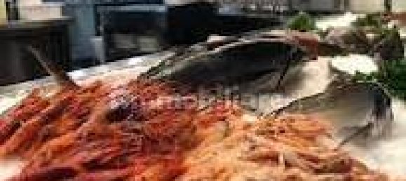 2-Zimmer Gewerbliche Immobilie in Savona, Italy, Nr. 189146 6