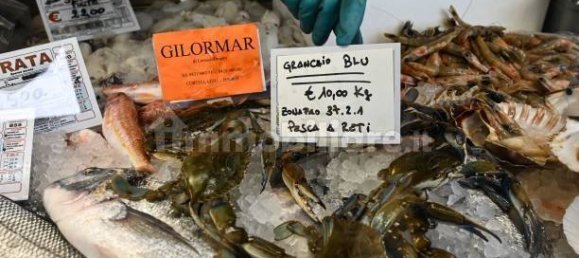 2-Zimmer Gewerbliche Immobilie in Savona, Italy, Nr. 189146 12