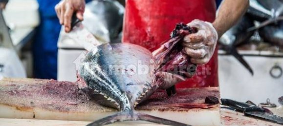 2-Zimmer Gewerbliche Immobilie in Savona, Italy, Nr. 189146 43