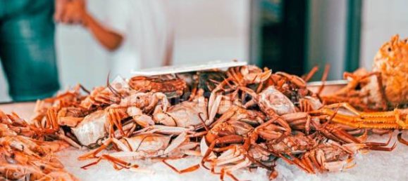 2-Zimmer Gewerbliche Immobilie in Savona, Italy, Nr. 189146 31